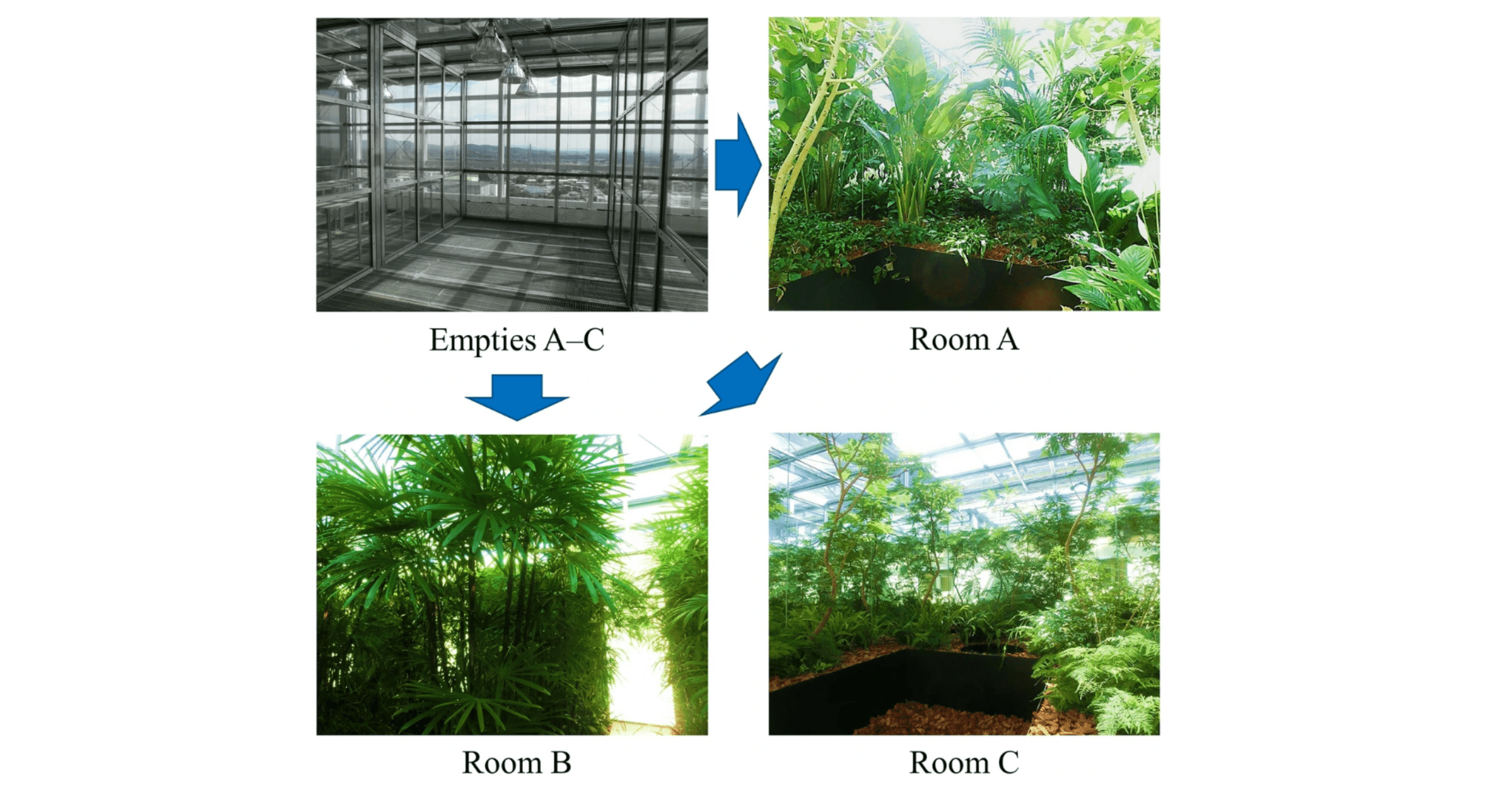 plants-increase-bacterial-diversity-2