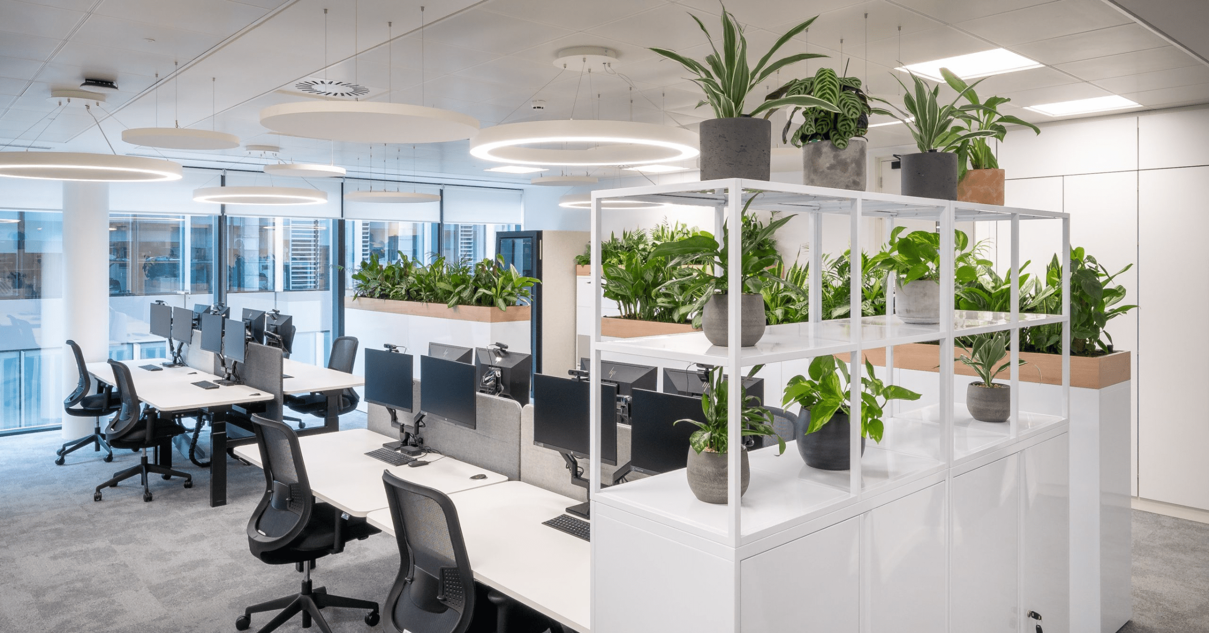 plants-increase-bacterial-diversity-4