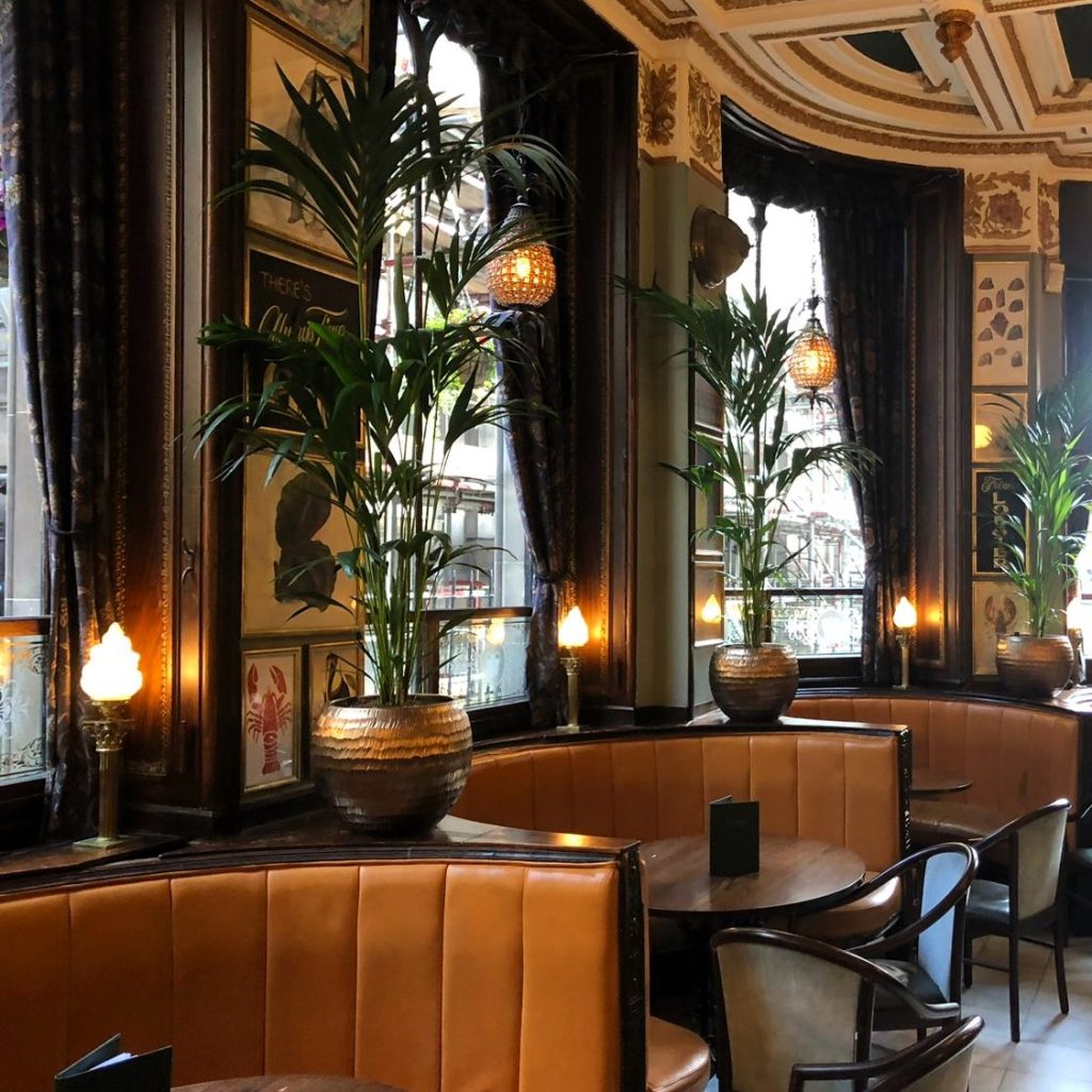 Tall kentia palms in gold textured planters decorate the seating booths at the cafe royal