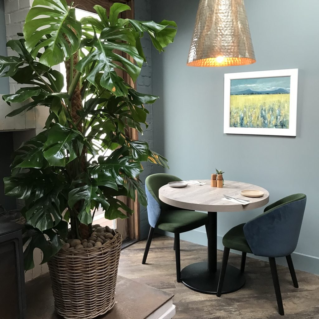 a live monstera on a moss pole in a wicker planter in nick nairn's restaurant in bridge of allan
