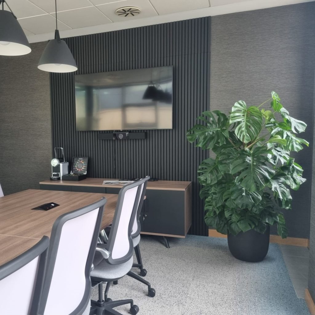 a healthy monstera deliciosa sits in an office boardroom as a beautiful feature