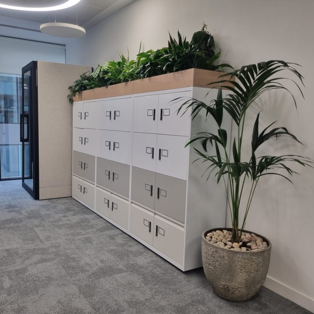 a rustic planter with a live kentia palm stands beside cabinets with trough planters atop and low lush live planting