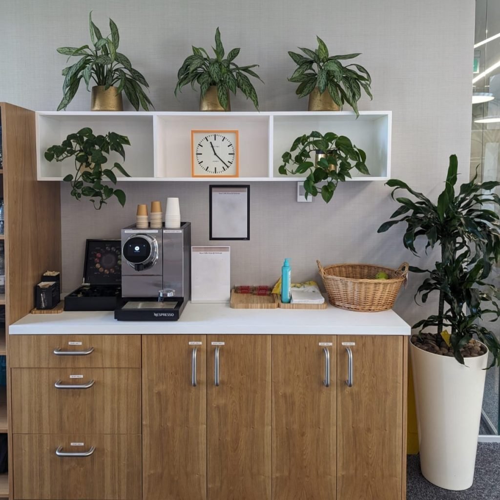 Small live plants in gold pots sit atop kitchen shelves, with a live dracaena fragrans in a tall white gloss planter stands beside the unit