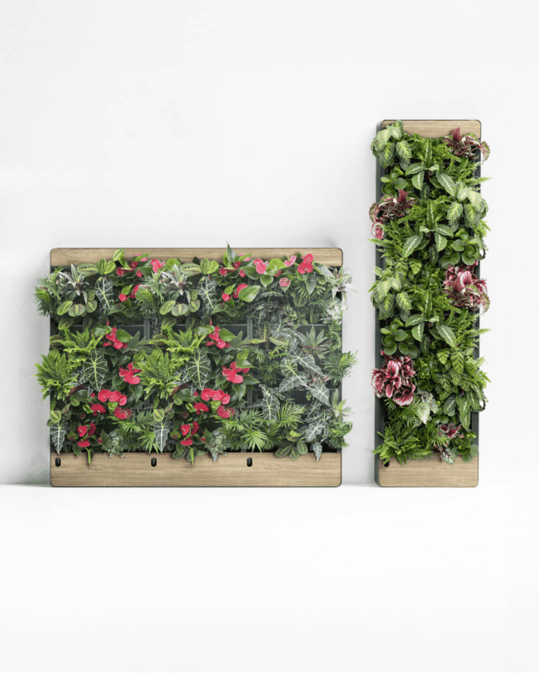 versatile-living-walls-3