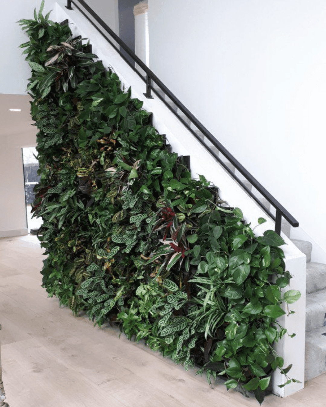 versatile-living-walls-2