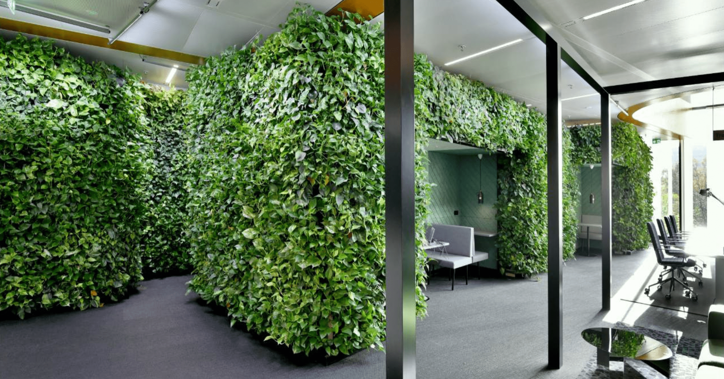 versatile-living-walls-6