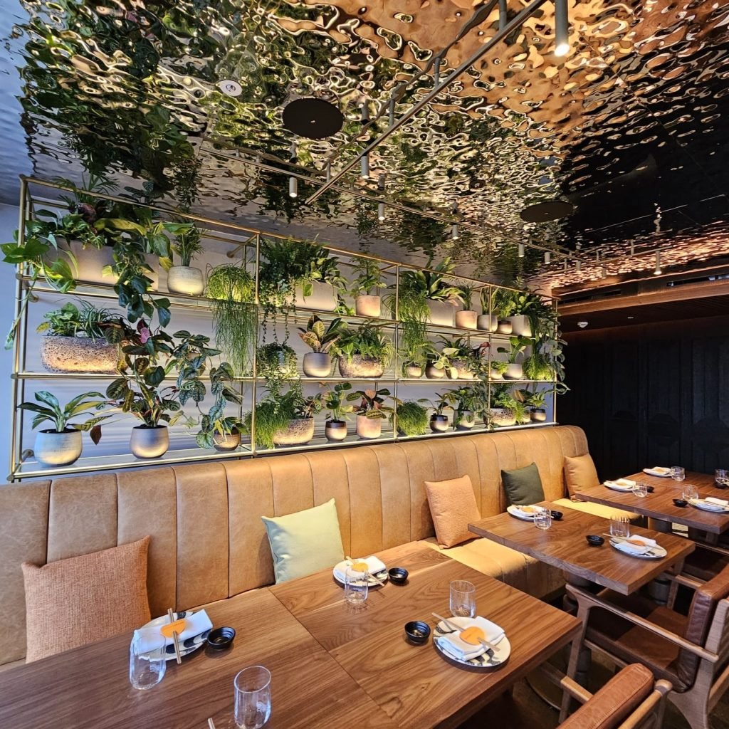 A variety of natural planters with an assortment of live plants sit on shelving in the W Hotel in Edinburgh