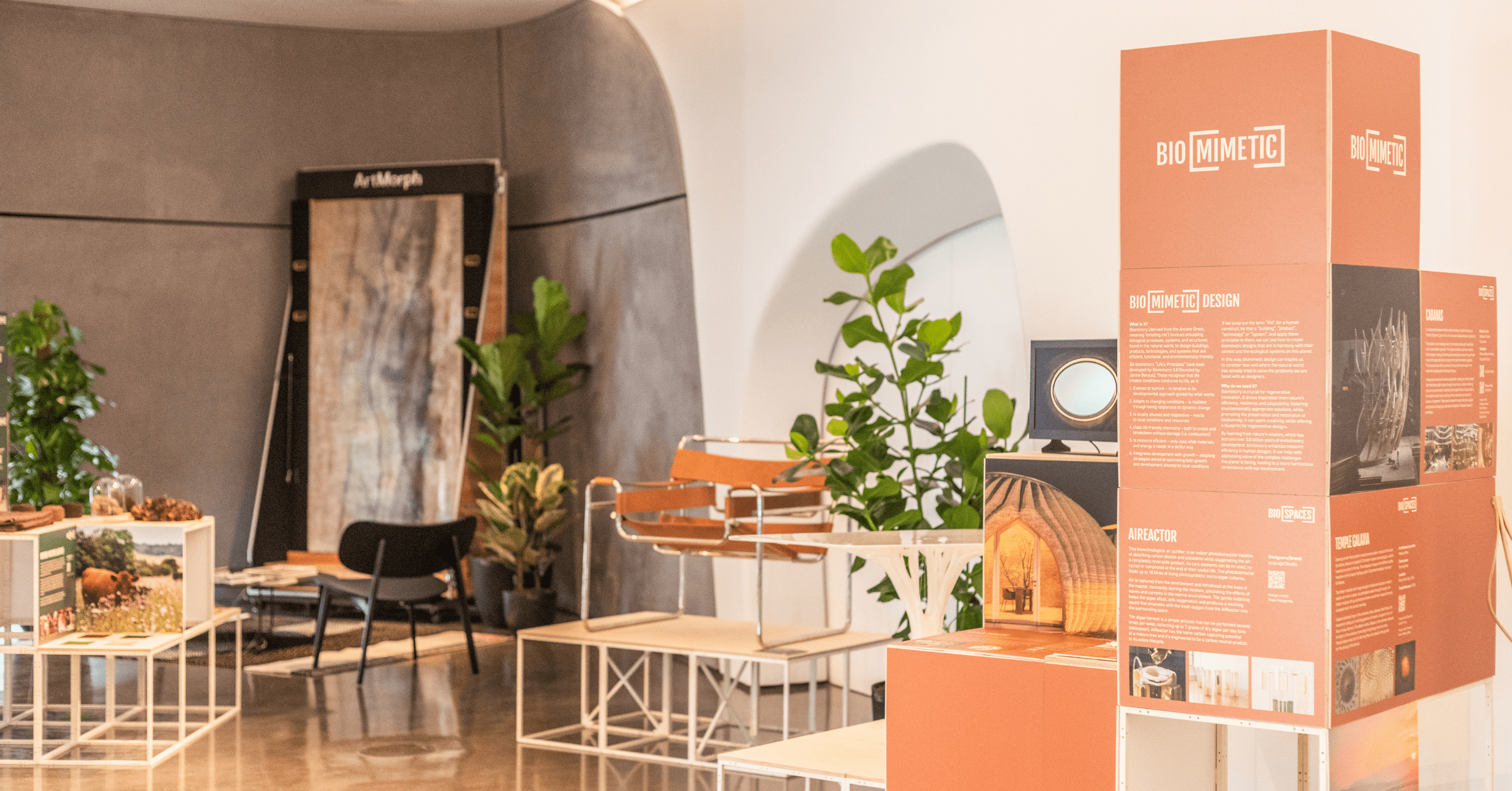 bio-spaces-biophilic-design-vs-climate-change-1