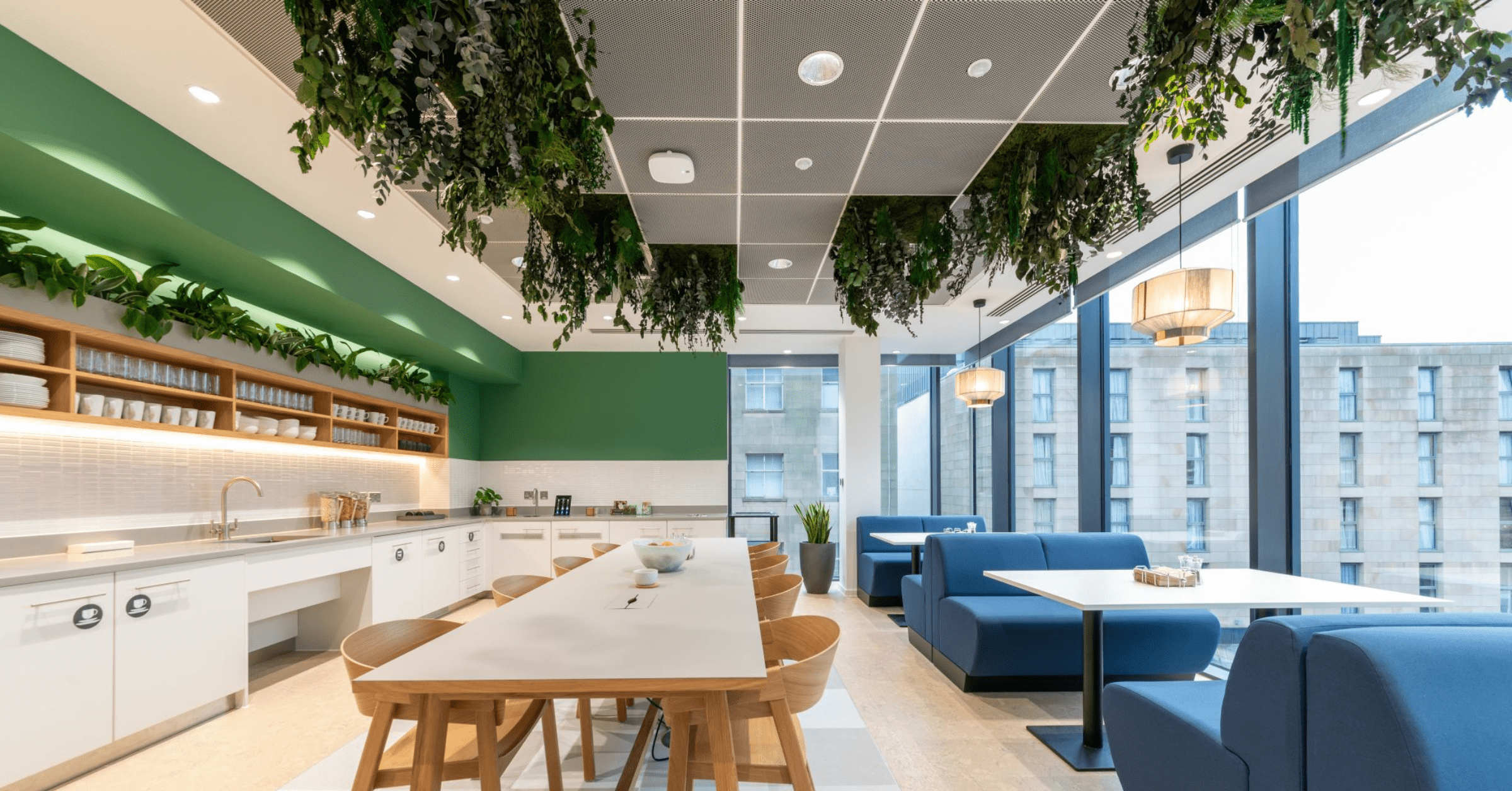 preserved-planting-pros-and-cons-featured-image-1