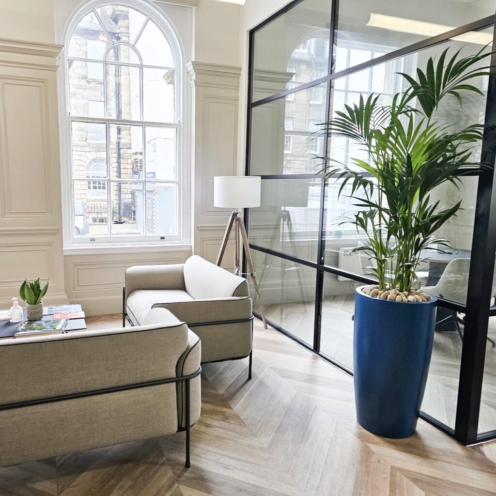 A bushy kentia palm in a bespoke ral-coloured planter stands within in the Edinburgh Coulters office