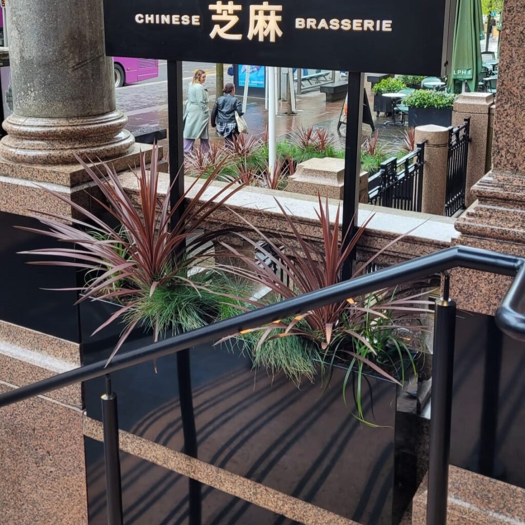 A gloss black trough planter filled with live festuca grass and red star cordylines sits in the exterior entrance of the Zhima restaurant in Glasgow