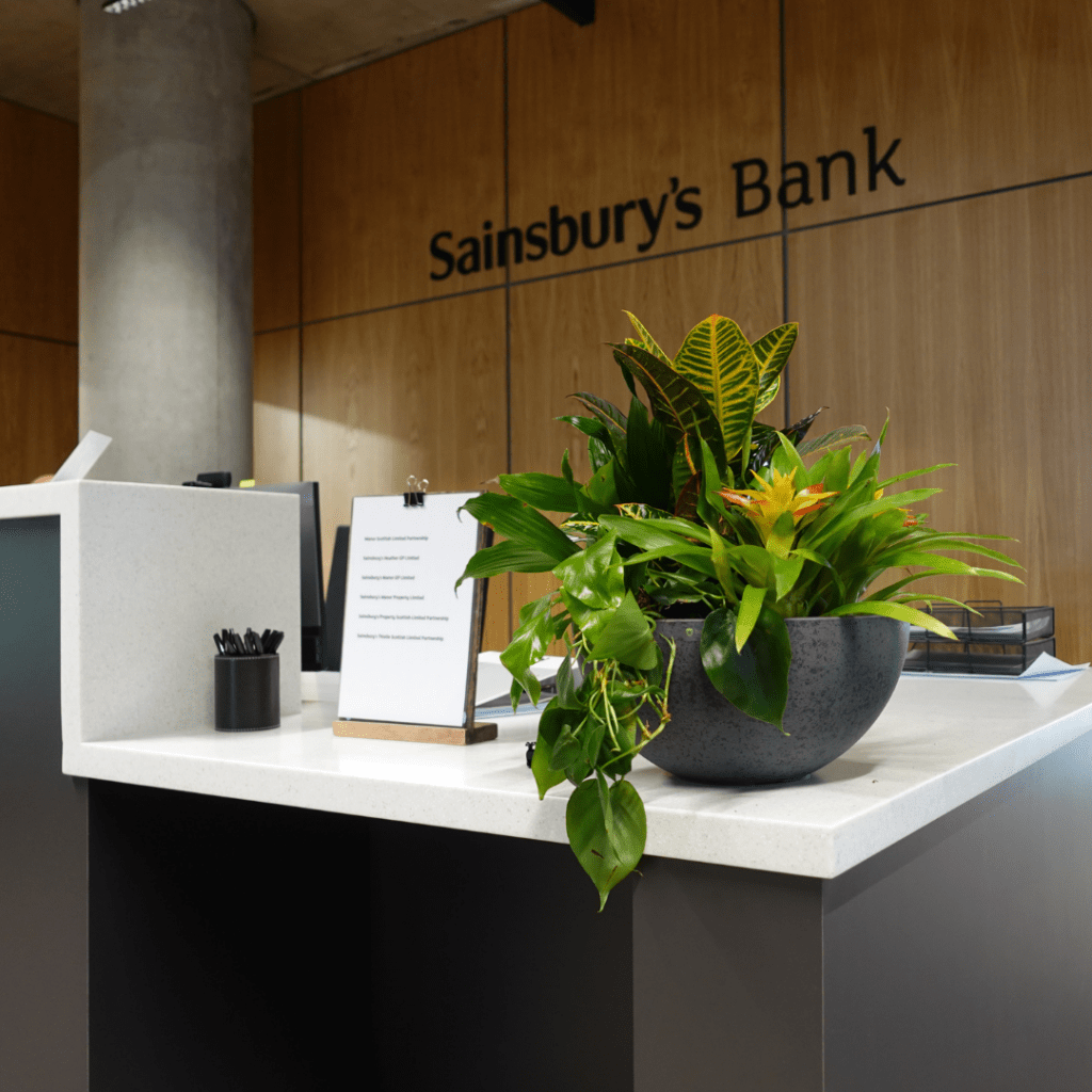 mixed-live-plant-bowl-display-with-guzmania-at-sainsbury's-bank-reception-edinburgh