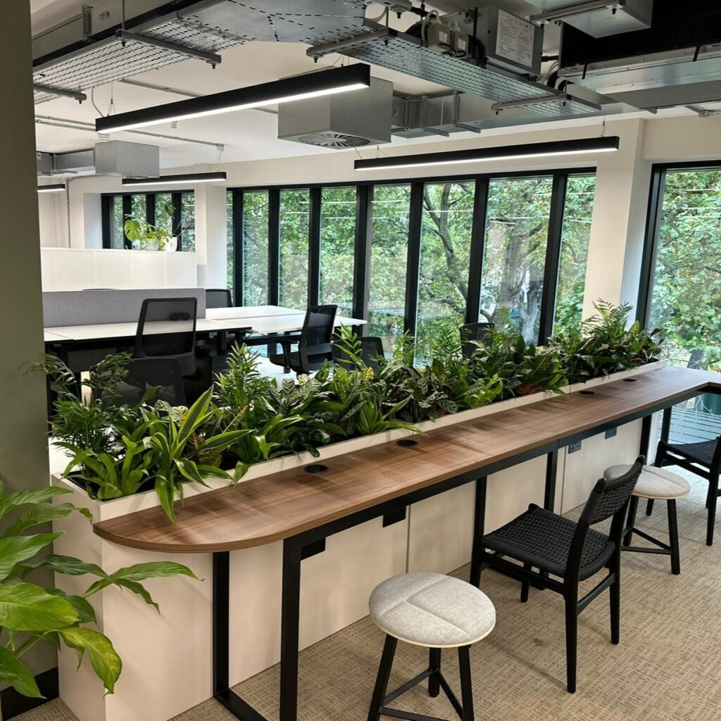 mixed-low-live-trough-planting-office-dividers