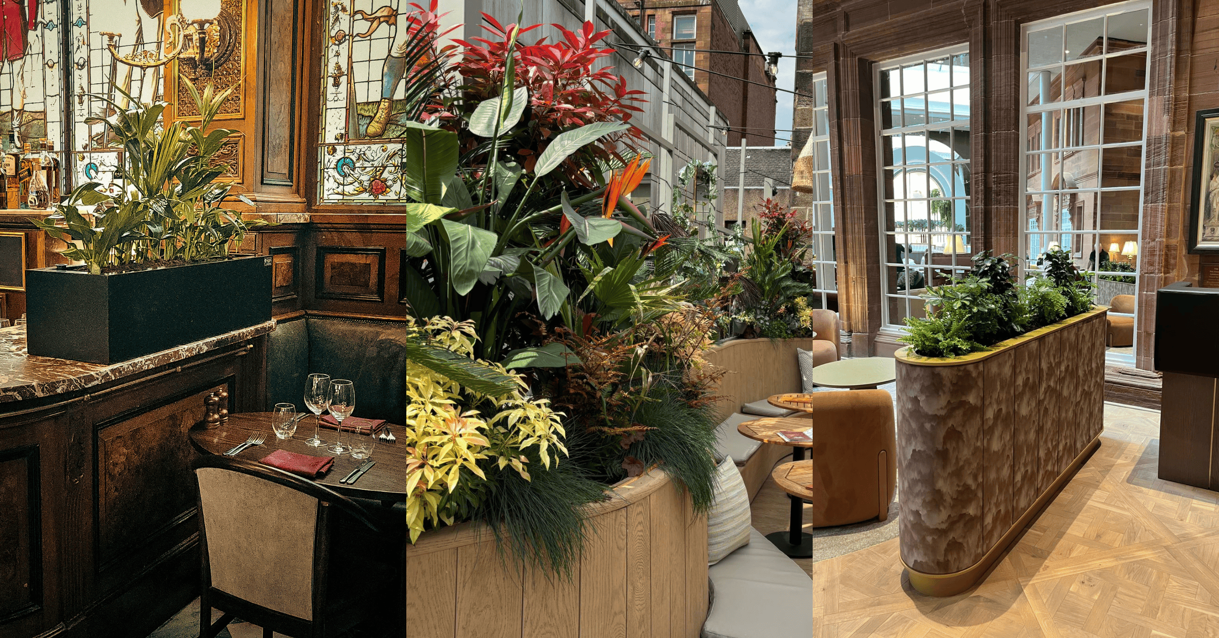 Mixed live trough planting as divider planters in restaurants and hotels